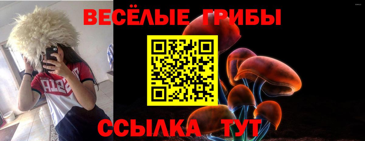 Галлюциногенные грибы Magic Shrooms Канаш